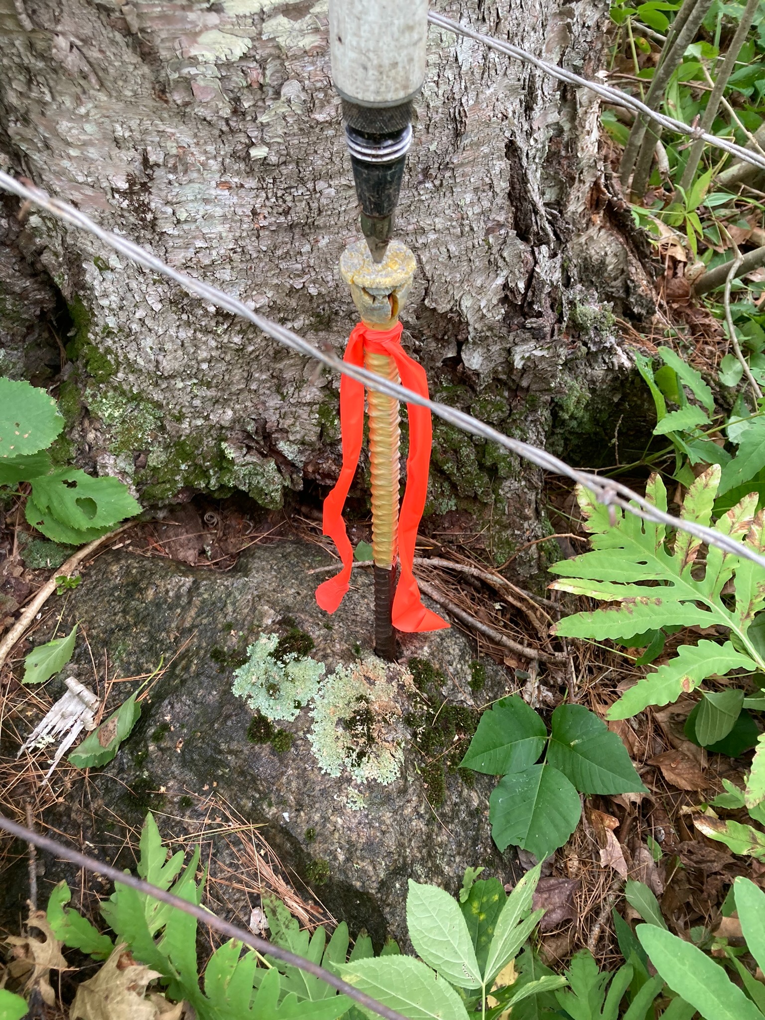 Boundary monument set for property line survey in York County Maine