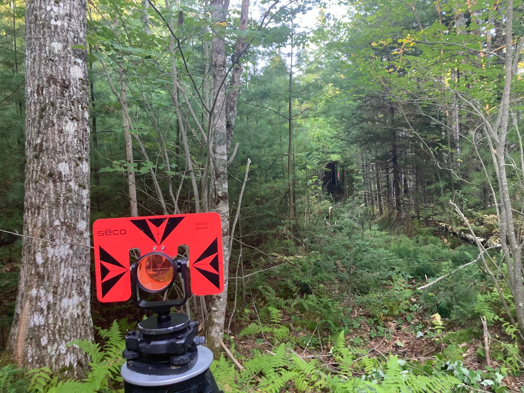 Wooded boundary survey in Maine